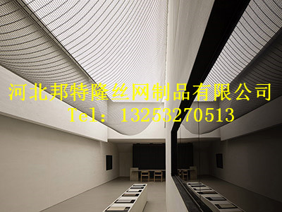 效果展示